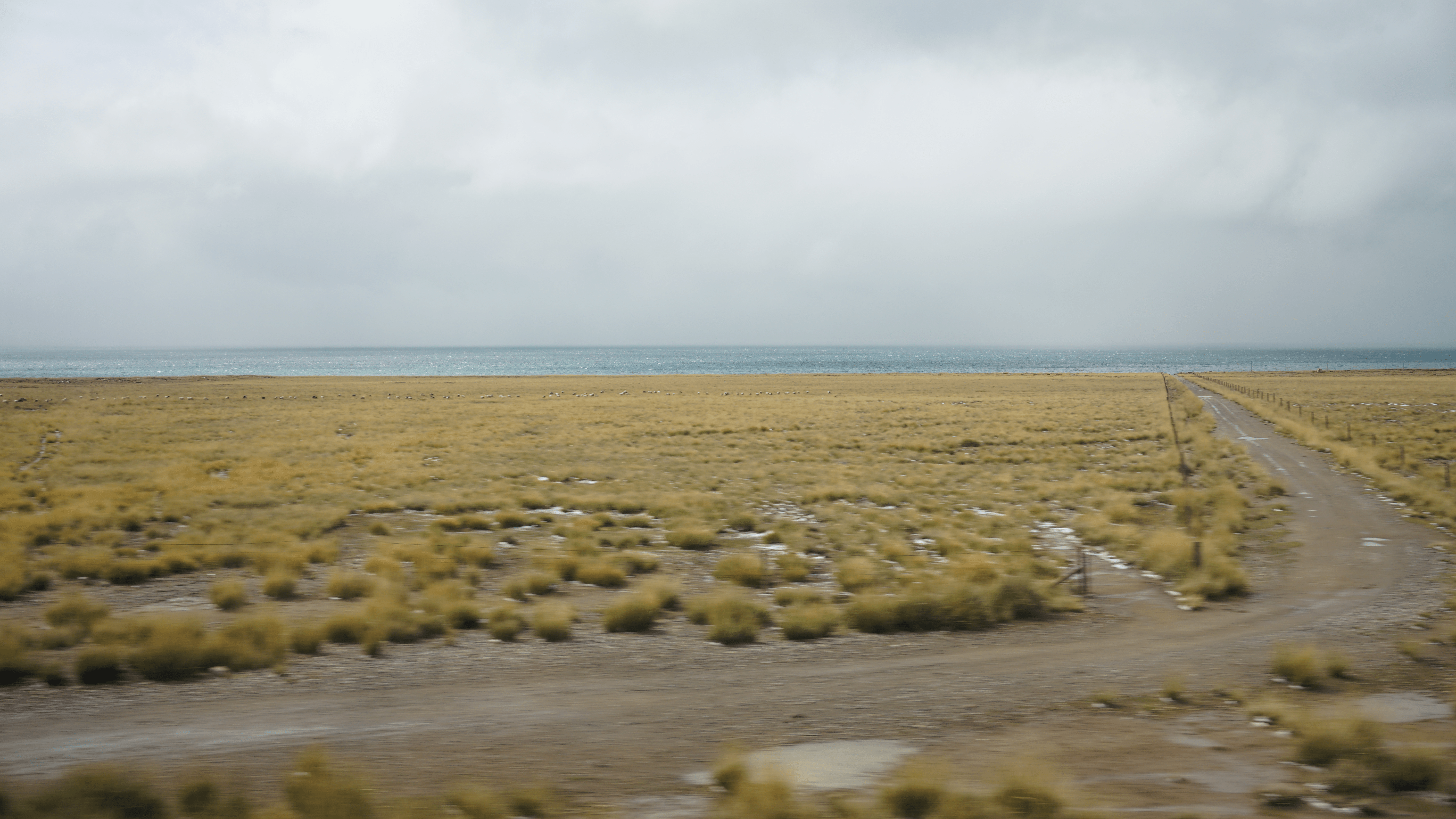train-landscape-50