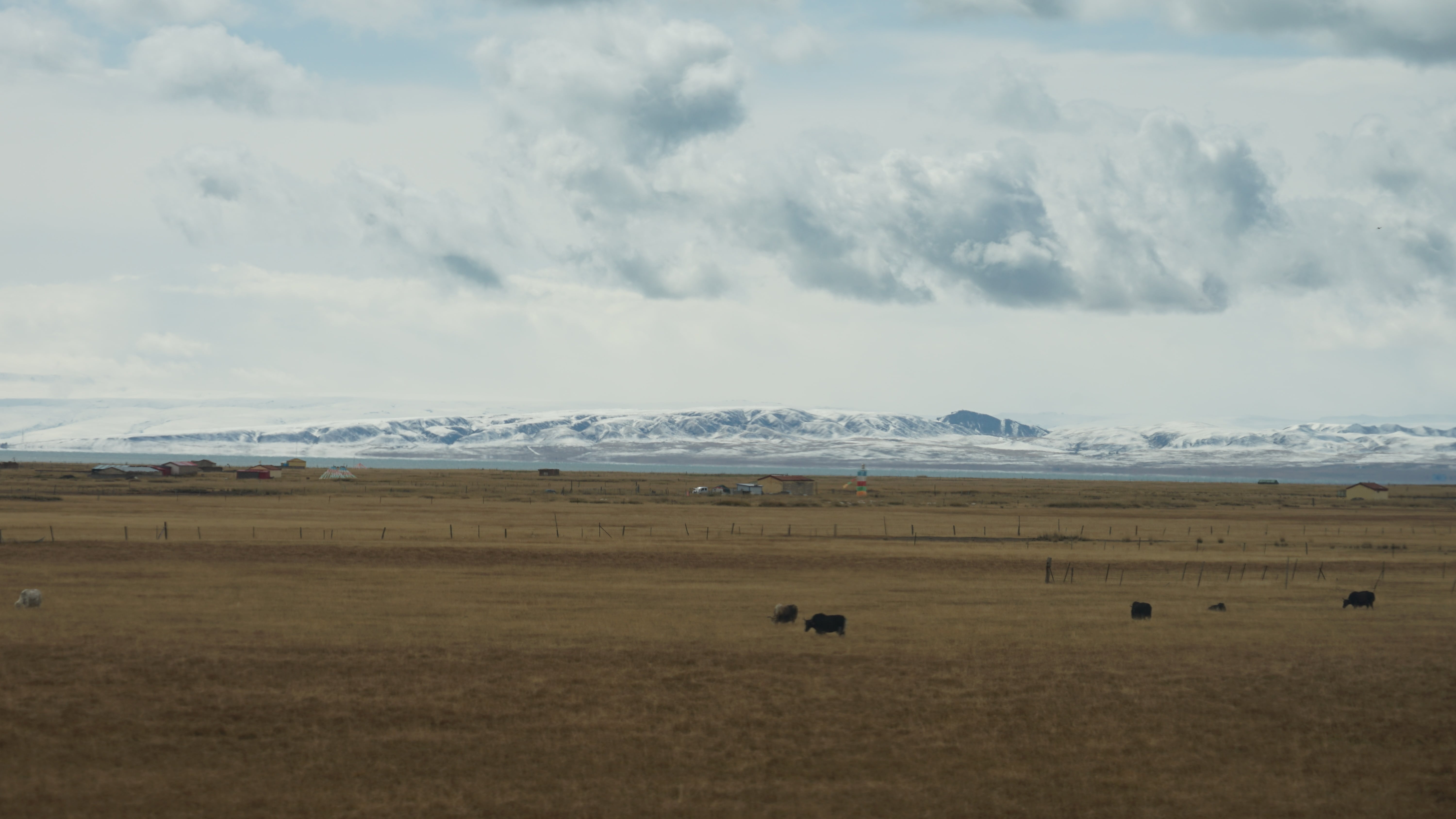 train-landscape