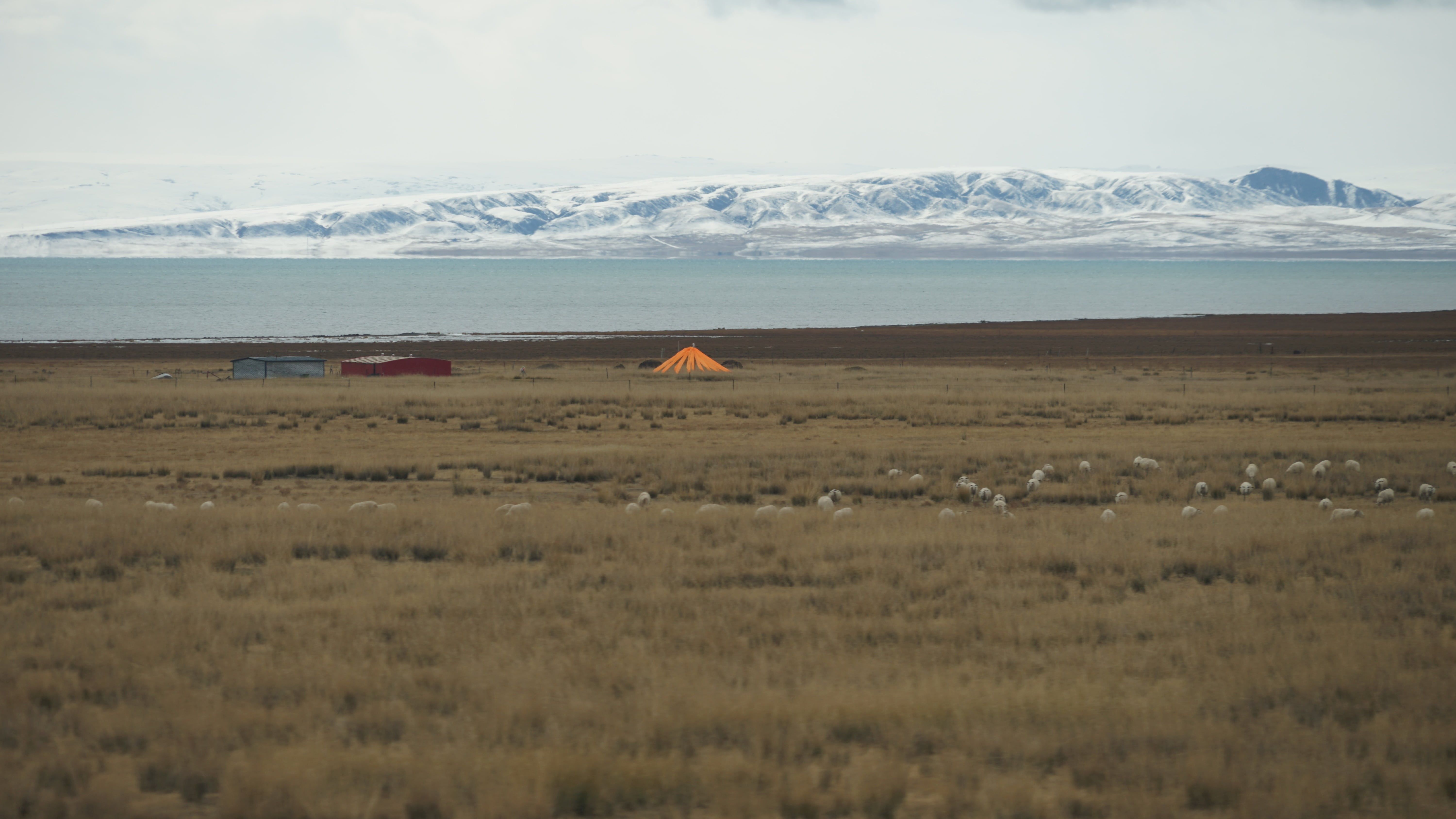 train-landscape