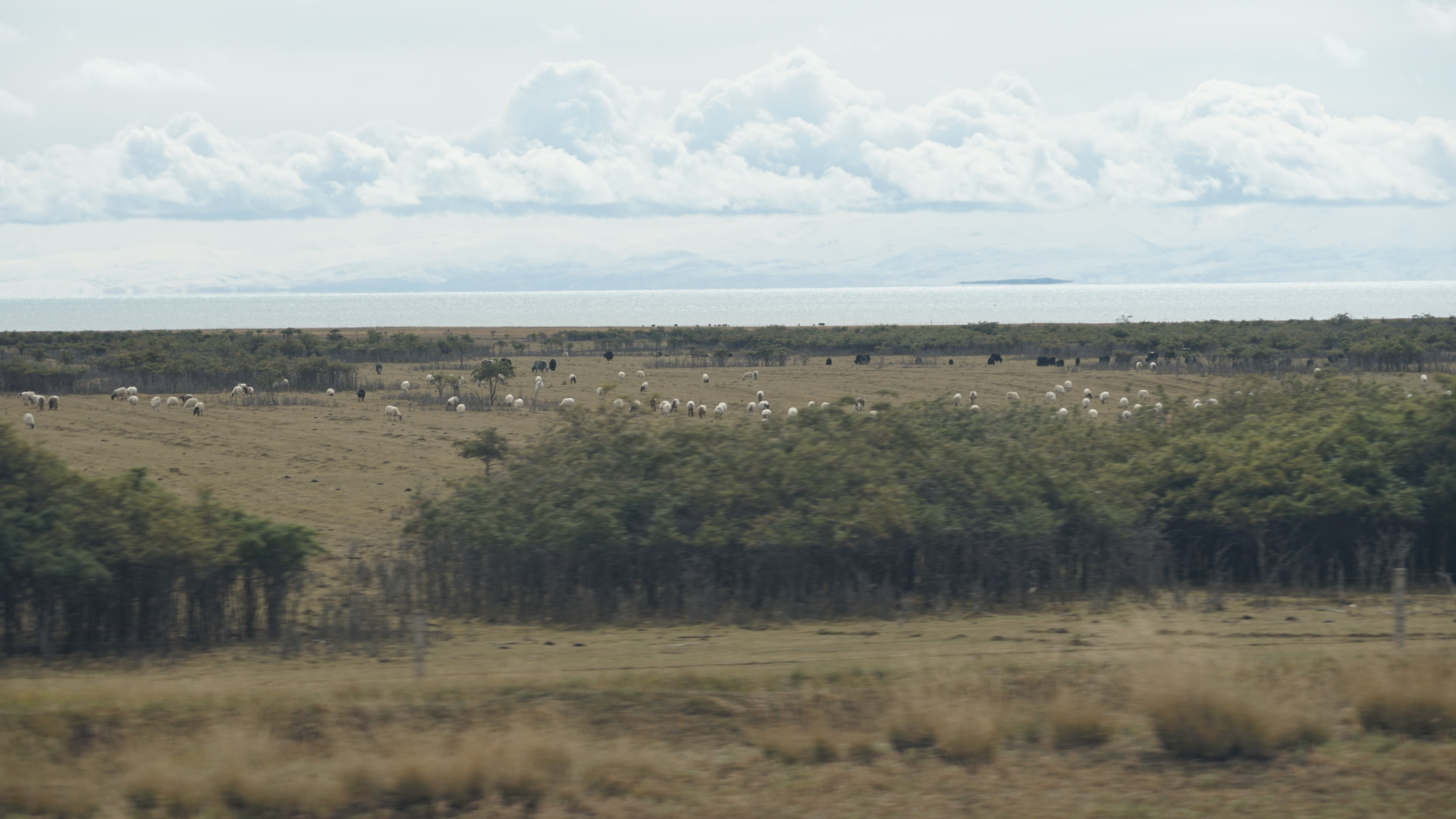 train-landscape-50